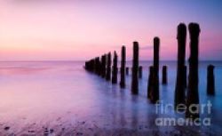 ShopForArt, FramingArtCentreGallery.ca, Art, Decor, Custom, Framing