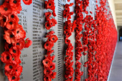 remembrance day