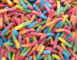 candy worms