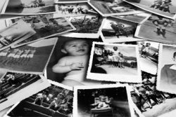 family tree photos